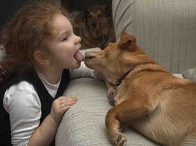 l'enfant embrasse le chien et devient infecté par des parasites