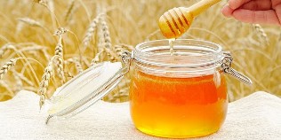 le miel aux helminthes
